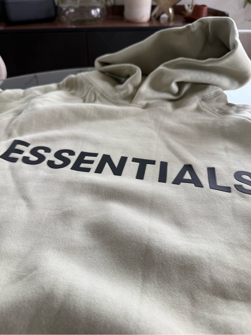 ESSENTIALS Men's Hoodie in Sage